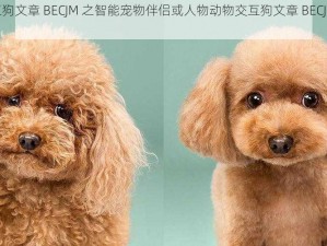 人物动物交互狗文章 BECJM 之智能宠物伴侣或人物动物交互狗文章 BECJM 宠物健康管理专家