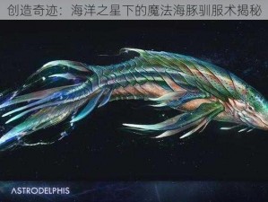 创造奇迹：海洋之星下的魔法海豚驯服术揭秘