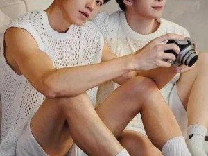 中国小鲜肉 gay 免费视频，优质高清内容，满足你的观看需求