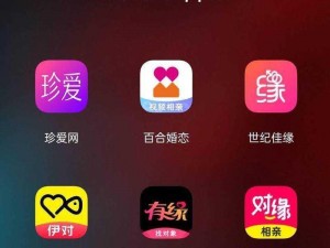 两个男生如何建立夫妻关系——百合婚恋交友 APP