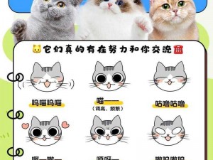 猫旅馆物语全面攻略：掌握猫猫属性，成为养猫达人