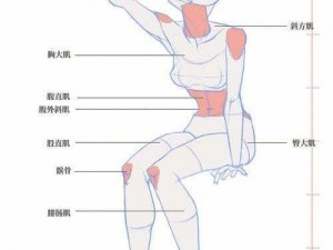 西西 114 人体：一款专业的人体模型，提供多种姿势和角度选择，帮助你更好地理解和学习人体结构