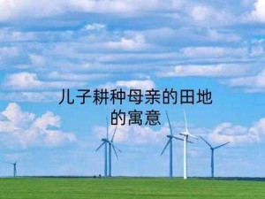 儿子耕种母亲的田地的寓意电影：一款揭示家庭与传承的深刻之作