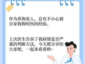 不小心跟狗连在一起了怎么办？连狗狗防丢器，轻松解决