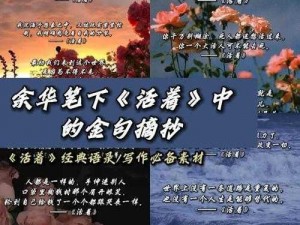 光明大陆善恶勋章换取人生之旅中的宝藏，让你的努力和善良更有价值