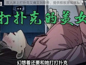 双人床上打扑克又痛又叫软件，提供极致游戏体验