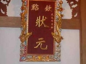 成语状元第46关揭秘：揭秘状元奥秘，成语巅峰对决揭晓答案