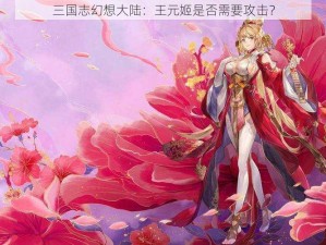 三国志幻想大陆：王元姬是否需要攻击？