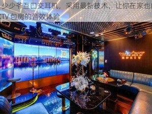 KTV 少少爷互囗交耳机，采用最新技术，让你在家也能享受 KTV 包房的音效体验