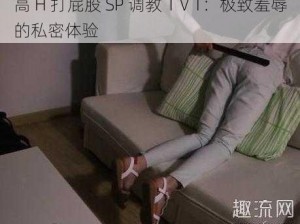 高 H 打屁股 SP 调教 1Ⅴ1：极致羞辱的私密体验