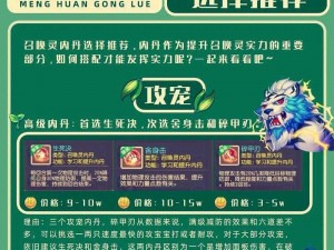 梦幻西游手游召唤灵适用高级内丹类型推荐