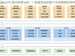 saascrm 国内免费 pdf：一款提供高效客户关系管理的软件