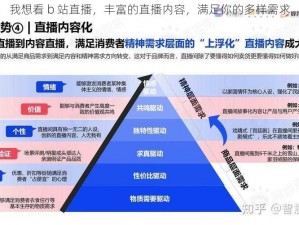 我想看 b 站直播，丰富的直播内容，满足你的多样需求