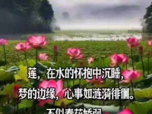 女人半夜莲花开，难受得不行该咋办？