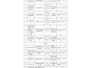 718SX 张津瑜国际版车型介绍：性能与时尚的完美融合