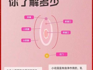 女人为什么喜欢用嘴——揭秘女性使用某产品的原因