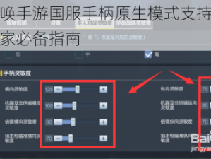 使命召唤手游国服手柄原生模式支持深度解析：玩家必备指南