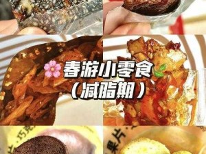 沈芯语老师家访麻花视频：健康美味的零食选择