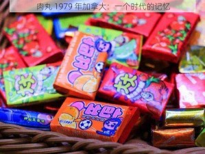 肉丸 1979 年加拿大：一个时代的记忆