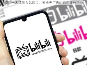 夜里十大禁用 B 站网页，安全无广告的影视播放平台