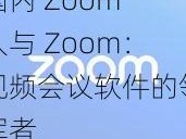 国内 Zoom 人与 Zoom：视频会议软件的领军者