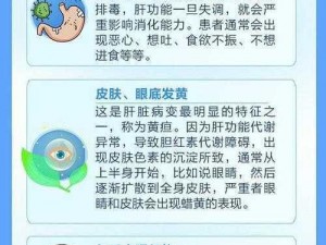 办公室强肝的播出方式与评价：动画形式呈现，每周更新一集