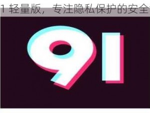 九幺 91 轻量版，专注隐私保护的安全浏览器