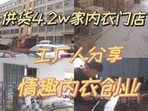 麻豆国情秘网站入口，国内领先的情趣用品电商平台