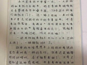 车肉短文 300 字左右：高品质的驾驶体验