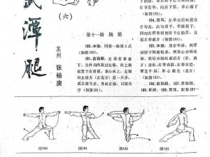 黑土腿法熟练脚法视频：中国传统武术的独特魅力