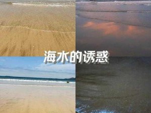 成熟小电影在线观看日韩海的味道，感受大海的无限魅力