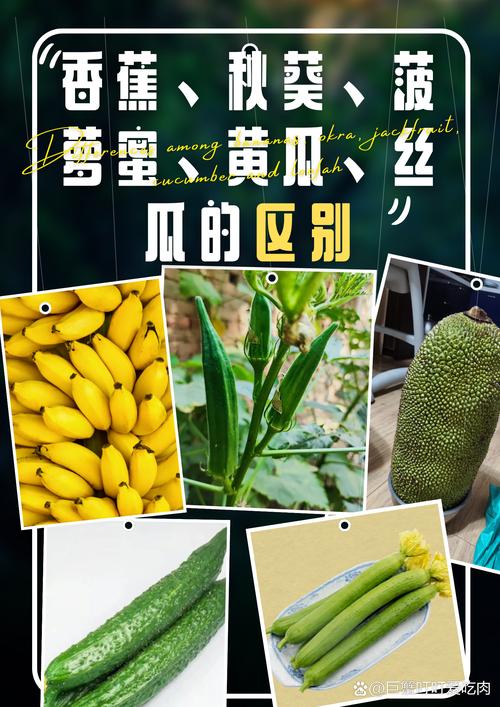 当季新鲜水果，草莓、茄子、秋葵、香蕉、丝瓜、榴莲，营养丰富，口感鲜美，让你一次尝个够