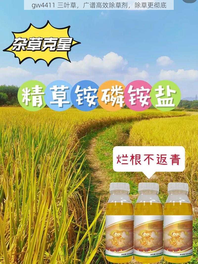 gw4411 三叶草，广谱高效除草剂，除草更彻底