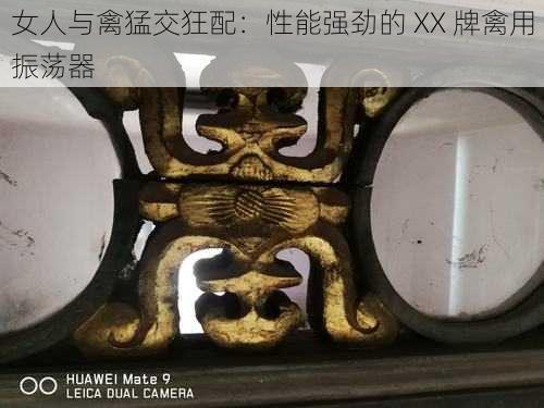 女人与禽猛交狂配：性能强劲的 XX 牌禽用振荡器