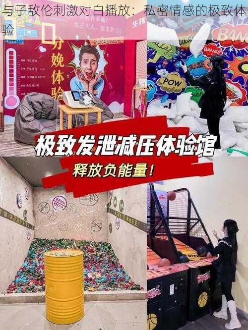 与子敌伦刺激对白播放：私密情感的极致体验