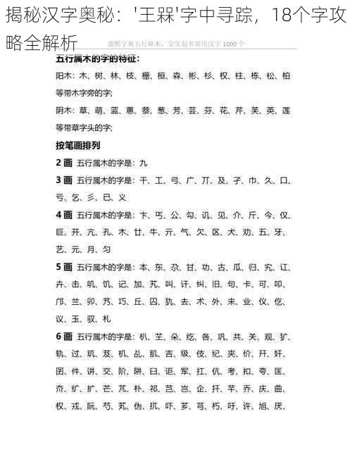 揭秘汉字奥秘：'王槑'字中寻踪，18个字攻略全解析