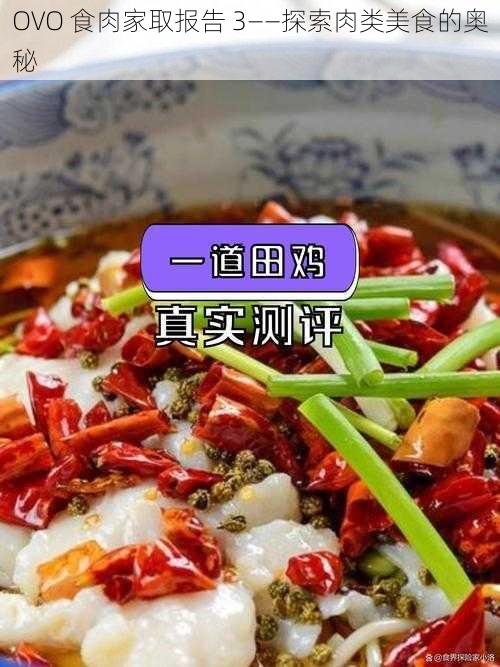 OVO 食肉家取报告 3——探索肉类美食的奥秘