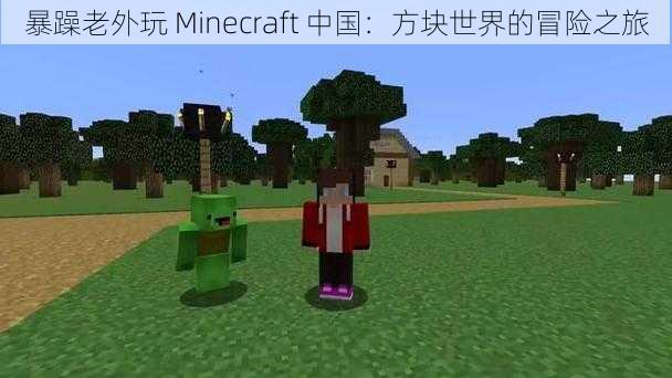 暴躁老外玩 Minecraft 中国：方块世界的冒险之旅