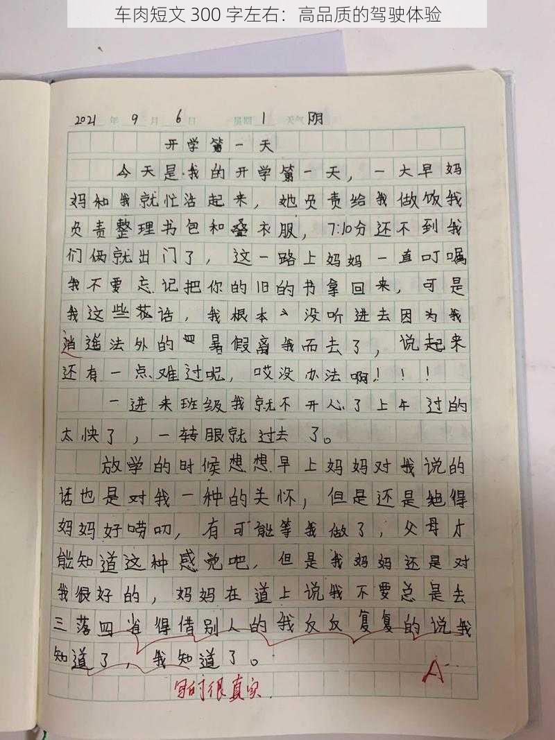 车肉短文 300 字左右：高品质的驾驶体验