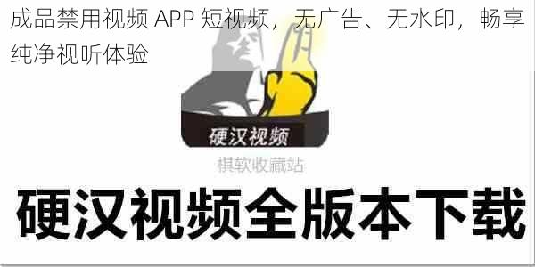 成品禁用视频 APP 短视频，无广告、无水印，畅享纯净视听体验