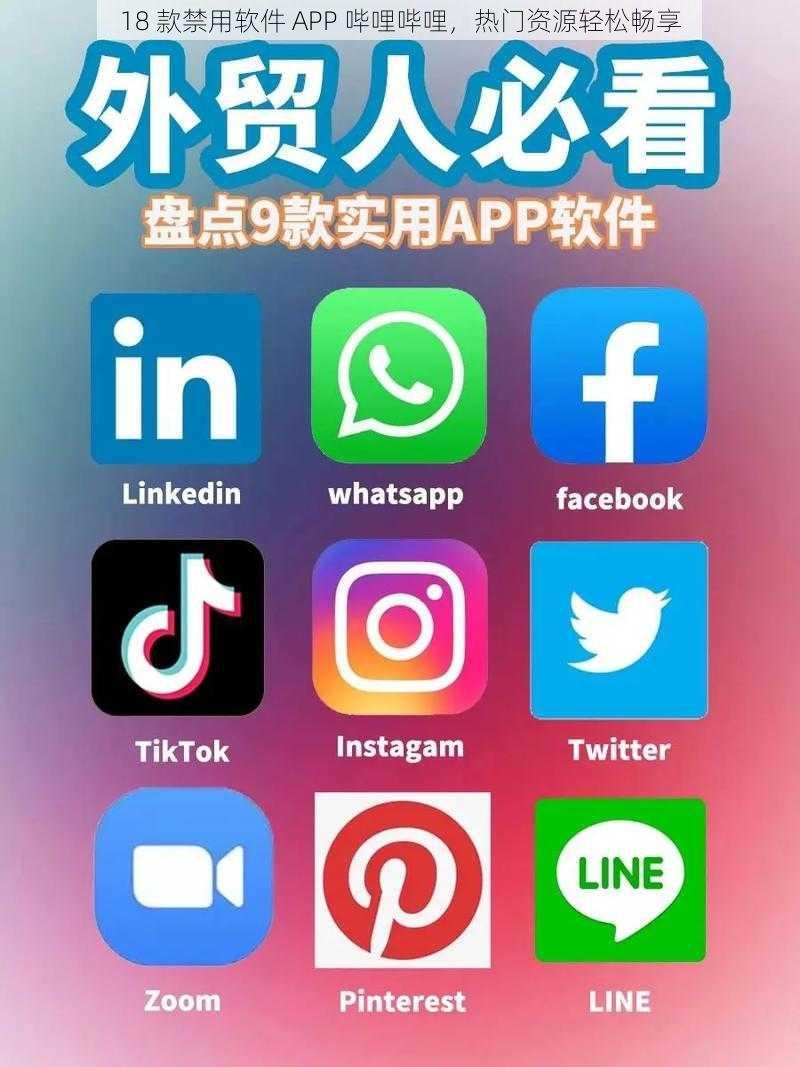 18 款禁用软件 APP 哔哩哔哩，热门资源轻松畅享