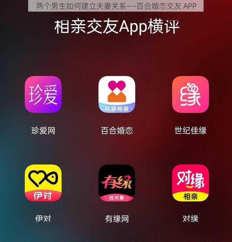 两个男生如何建立夫妻关系——百合婚恋交友 APP