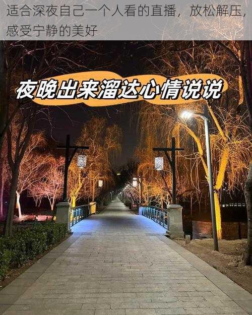 适合深夜自己一个人看的直播，放松解压，感受宁静的美好