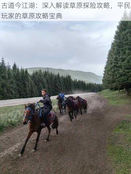 古道今江湖：深入解读草原探险攻略，平民玩家的草原攻略宝典