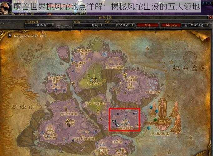 魔兽世界抓风蛇地点详解：揭秘风蛇出没的五大领地