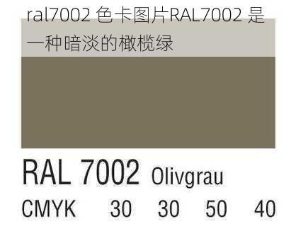 ral7002 色卡图片RAL7002 是一种暗淡的橄榄绿