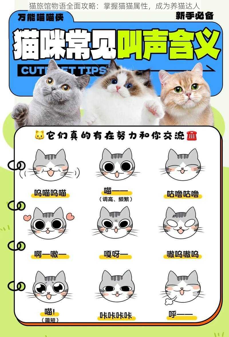 猫旅馆物语全面攻略：掌握猫猫属性，成为养猫达人