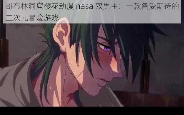 哥布林洞窟樱花动漫 nasa 双男主：一款备受期待的二次元冒险游戏