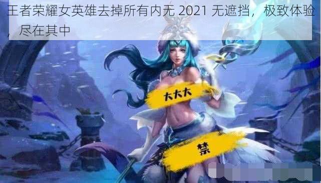 王者荣耀女英雄去掉所有内无 2021 无遮挡，极致体验，尽在其中