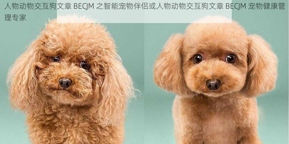 人物动物交互狗文章 BECJM 之智能宠物伴侣或人物动物交互狗文章 BECJM 宠物健康管理专家